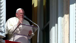 Francisco, durante el Angelus de hoy