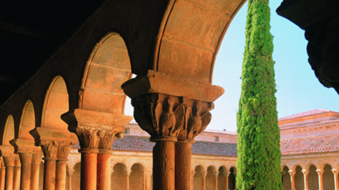 Ciprés en el claustro de Silos