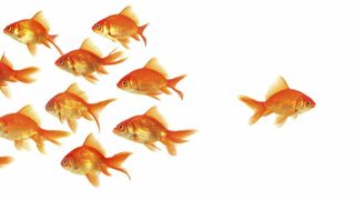 Vamos a contracorriente