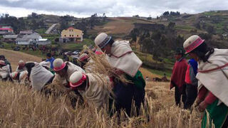 El pedido "al señor de la cosecha"