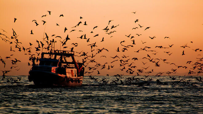 Día Mundial de la Pesca
