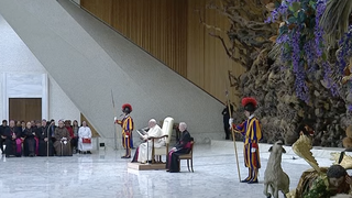El Papa, en la audiencia