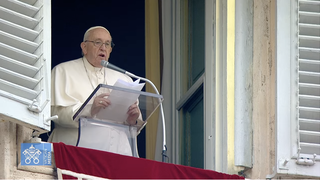 El Papa, en el ángelus