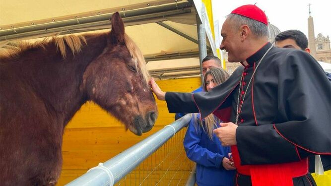 Gambetti bendiciendo a los animales