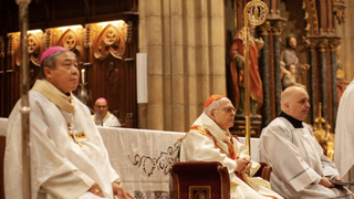 El NUncio en la ordenación de Fernando Prado