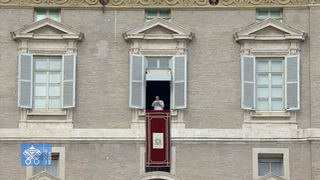 Francisco, durante el ángelus