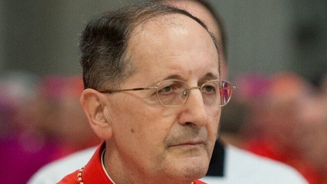 Cardenal Stella