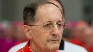 Cardenal Stella