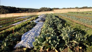 Huerto franciscano en El Pardo