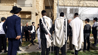 Violencia en Tierra Santa