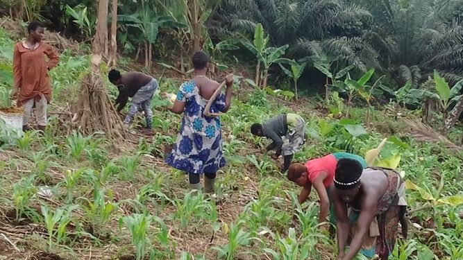 Proyecto de Manos Unidas con mujeres desplazadas en Camerún