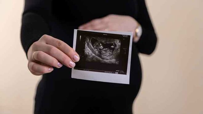 Los obispos, contra el aborto
