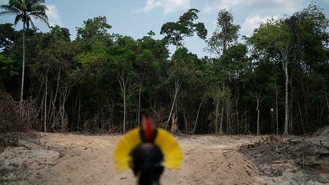Deforestación