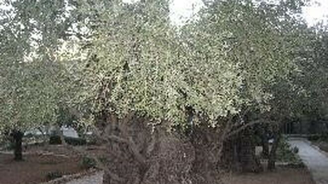 I Sábado de Cuaresma