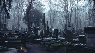 D. Mateo caps. 18 y 19