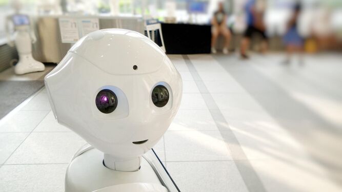 Robot