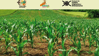 Mensaje Alimentación México