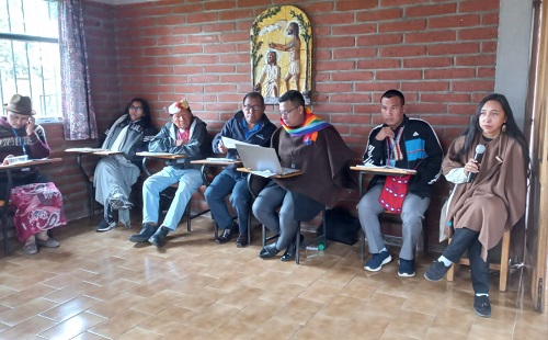 Plenaria en el Encuentro de Participación Sinodal de Pueblos Originarios