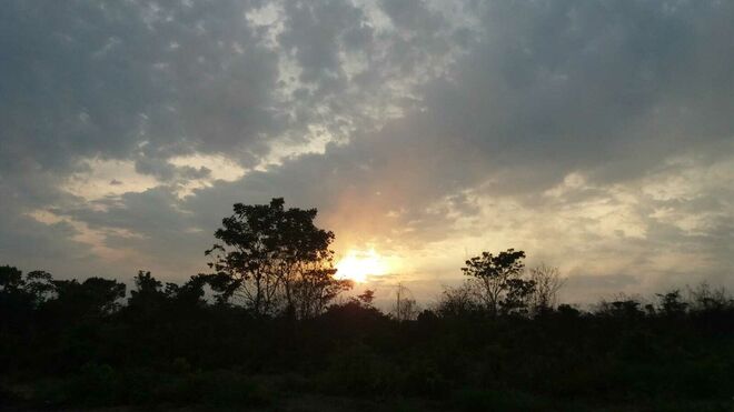 Atardecer en Amazonia