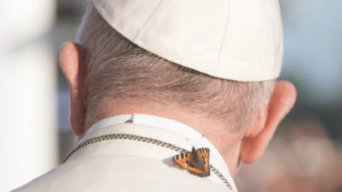 Papa Francisco