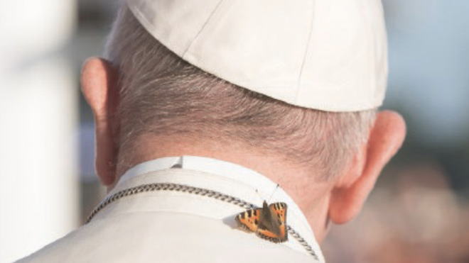 Papa Francisco