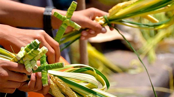 Domingo de ramos