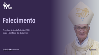 Mons. José Jovêncio Balestieri