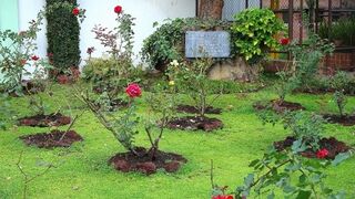 Michael Moore: "No des-historizar la semana santa"