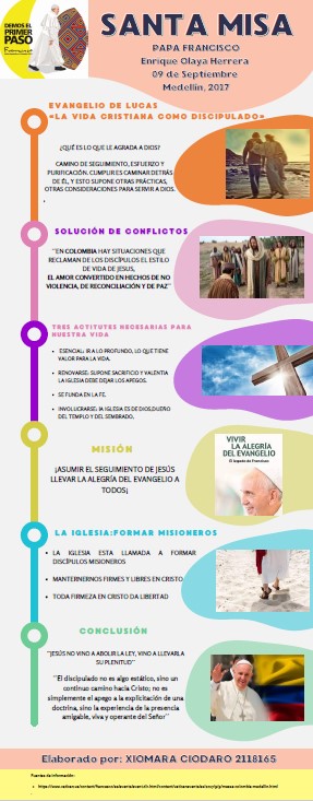 Infografia nro 13