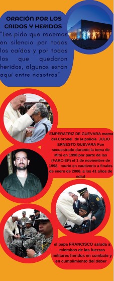 Infografia nro 9b