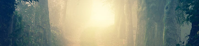 surrexit-christus-sisask