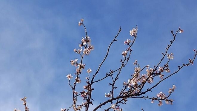 Sábado de la Octava de Pascua