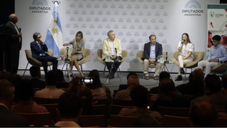 Presentación del estudio en el Congreso