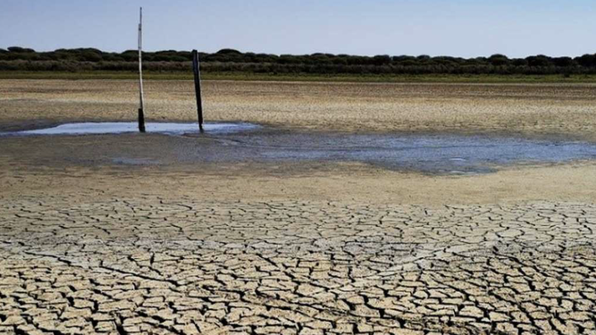 Laguna de Santa Olalla, en Doñana