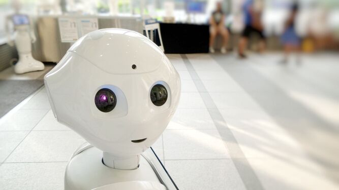 Robot