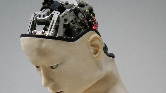El 'cerebro' de un robot