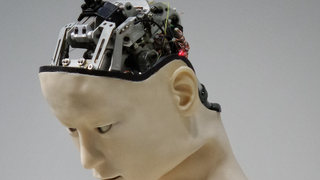 El 'cerebro' de un robot