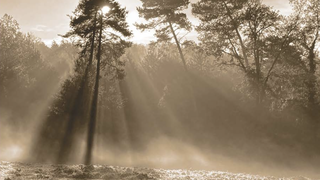 Imagen de la cubierta del libro