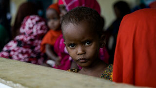 Programa Mundial de Alimentos