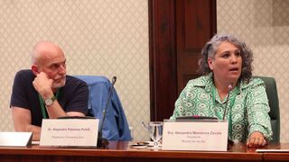 Alejandro Palomas, en la comisión del Parlament