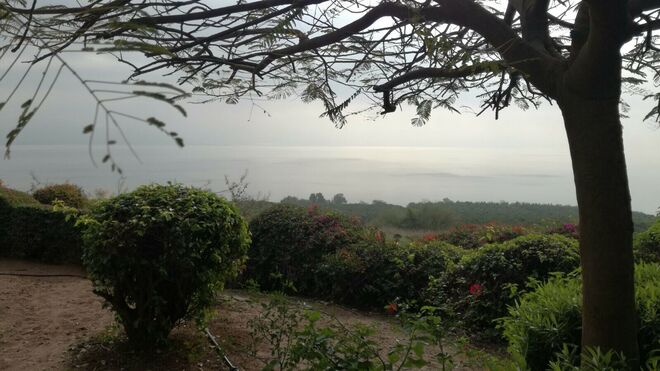 El Cuarto Evangelio (19)