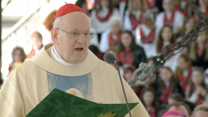 Erdö, hablando al Papa