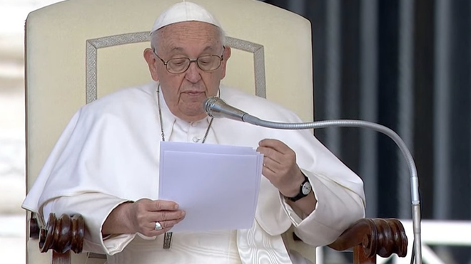 El Papa durante la audiencia general