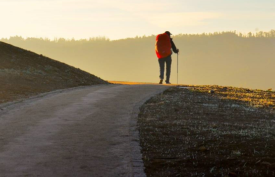 Camino