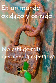 Candado_oxidado_con_planta_surgiendo