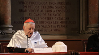 El cardenal Versaldi