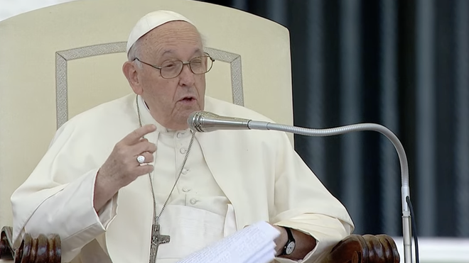 Francisco, durante su catequesis sobre san Francisco Javier