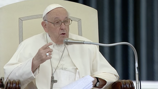 Francisco, durante su catequesis sobre san Francisco Javier