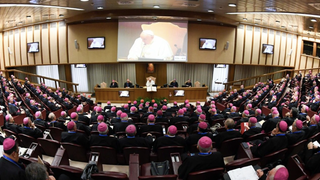 Francisco y los obispos italianos