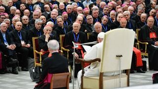 El Papa, con el Camino Sinodal italiano